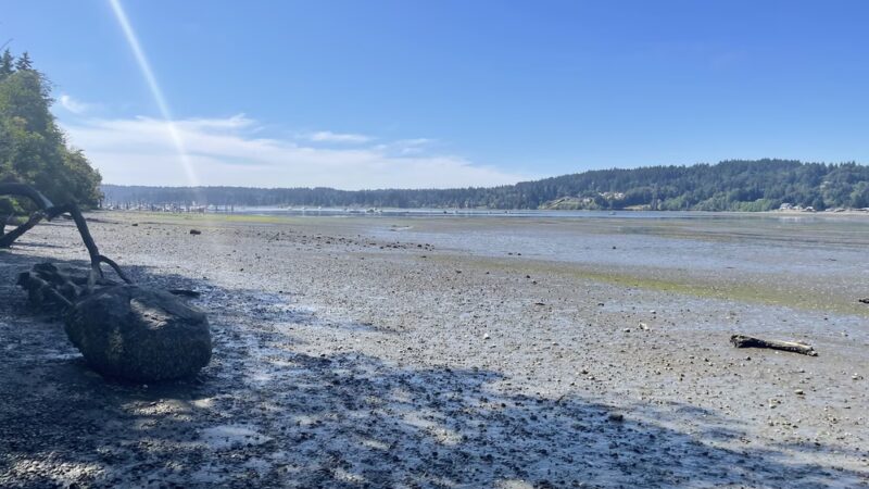 American Legion Park - Poulsbo, WA