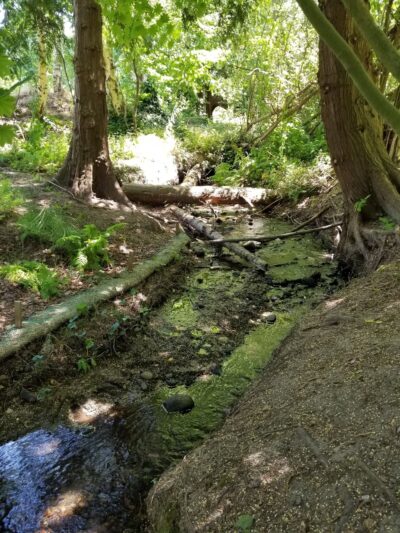 Centennial Park - Poulsbo, WA