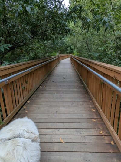Dogfish Creek Trail - Poulsbo, WA
