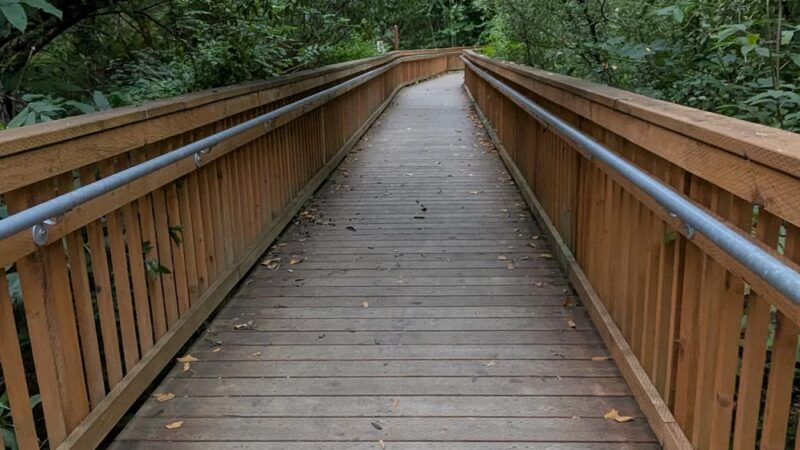 Dogfish Creek Trail - Poulsbo, WA