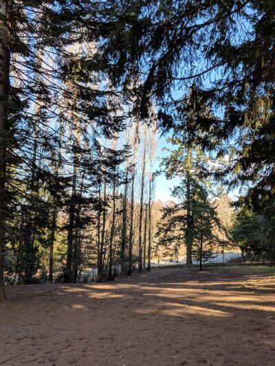 Frank Raab Park - Poulsbo, WA