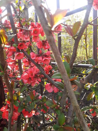 Net Shed Park - Poulsbo, WA