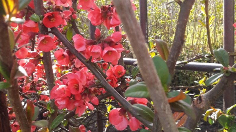 Net Shed Park - Poulsbo, WA