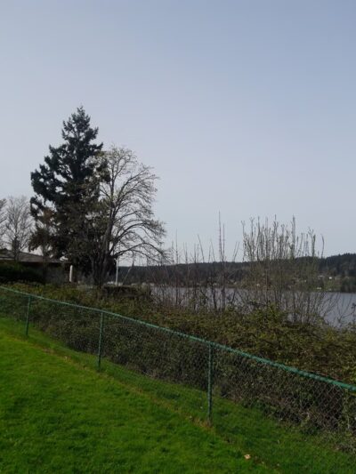 Net Shed Park - Poulsbo, WA