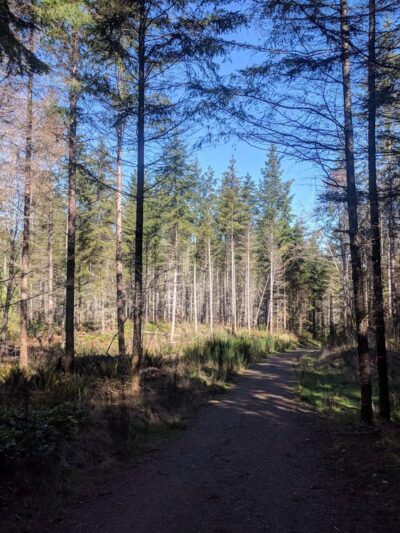 Pope Resc Trail Xroads, Gamble Bay Park#1 - Poulsbo, WA