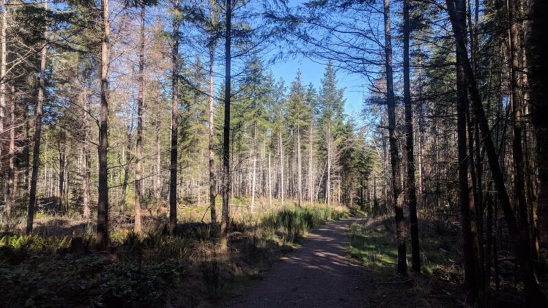 Pope Resc Trail Xroads, Gamble Bay Park#1 - Poulsbo, WA
