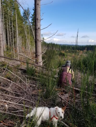 Pope Resc Trail Xroads, Gamble Bay Park#1 - Poulsbo, WA