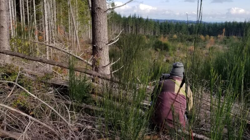 Pope Resc Trail Xroads, Gamble Bay Park#1 - Poulsbo, WA