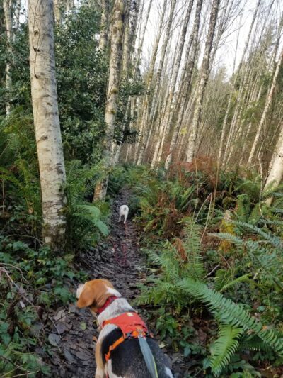 Pope Resc Trail Xroads, Gamble Bay Park#1 - Poulsbo, WA