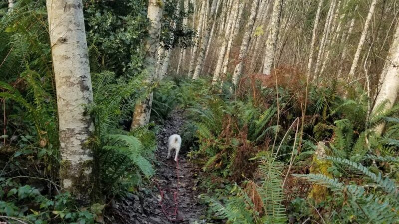 Pope Resc Trail Xroads, Gamble Bay Park#1 - Poulsbo, WA