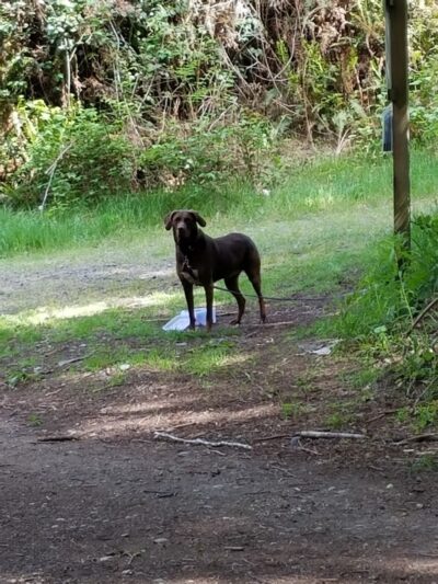 Pope Resc Trail Xroads, Gamble Bay Park#1 - Poulsbo, WA