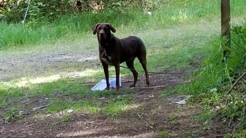 Pope Resc Trail Xroads, Gamble Bay Park#1 - Poulsbo, WA