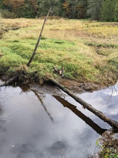 Poulsbo's Fish Park - Poulsbo, WA