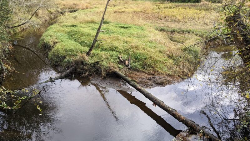 Poulsbo's Fish Park - Poulsbo, WA