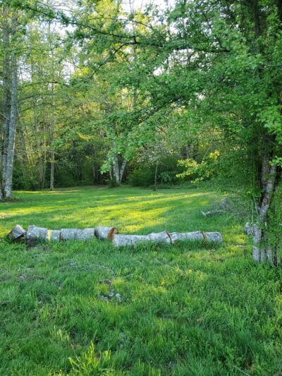 Poulsbo Wilderness Trail - Poulsbo, WA