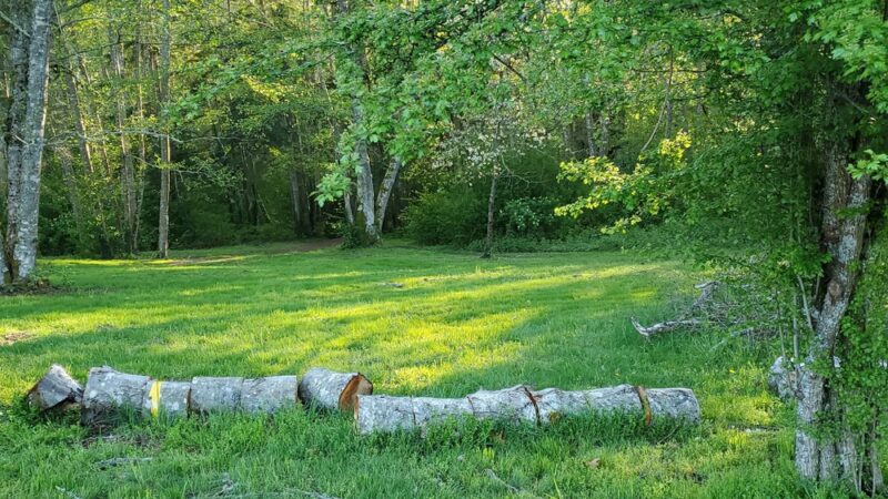 Poulsbo Wilderness Trail - Poulsbo, WA