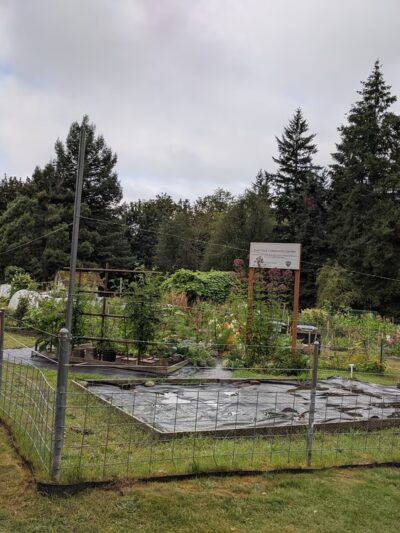 Raab Park Community P-Patch Garden - Poulsbo, WA