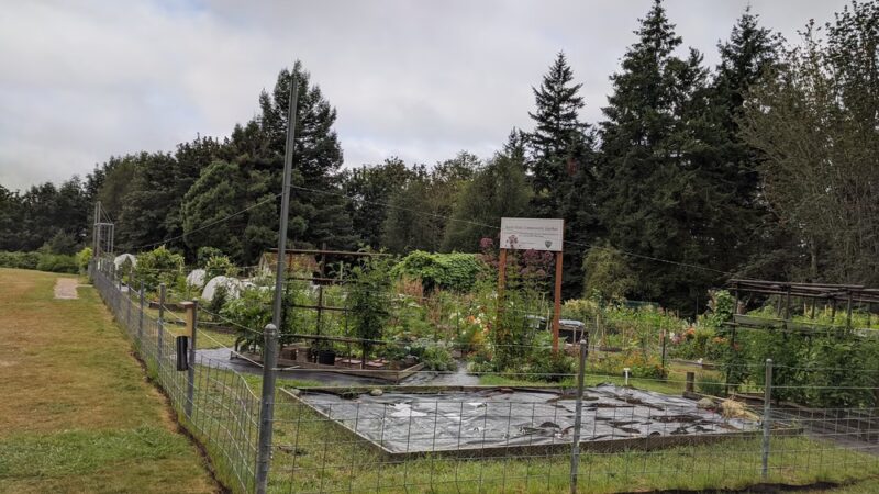 Raab Park Community P-Patch Garden - Poulsbo, WA