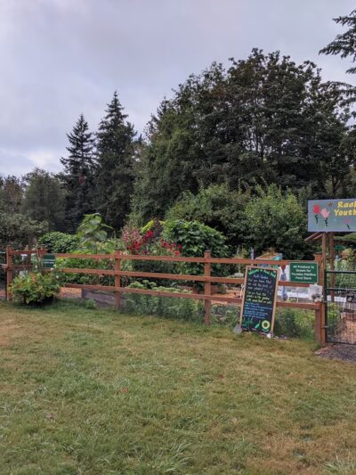 Raab Park Community P-Patch Garden - Poulsbo, WA