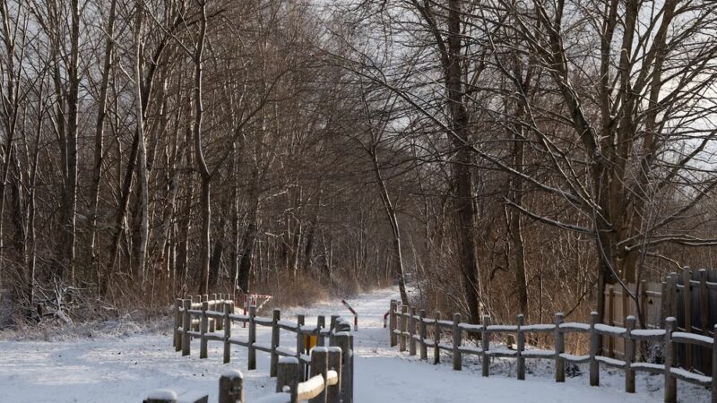 D&H Rail Trail Parking, Poultney VT - Poultney, VT