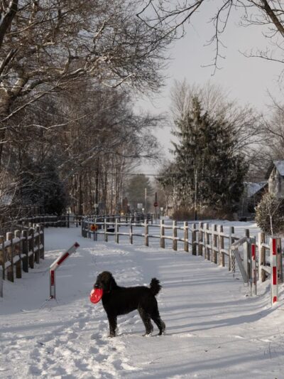 D&H Rail Trail Parking, Poultney VT - Poultney, VT