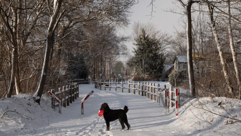 D&H Rail Trail Parking, Poultney VT - Poultney, VT
