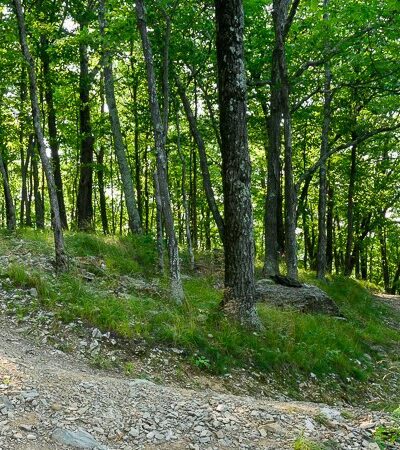 Slate Valley Trails - Poultney, VT