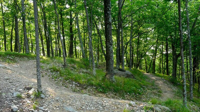 Slate Valley Trails - Poultney, VT