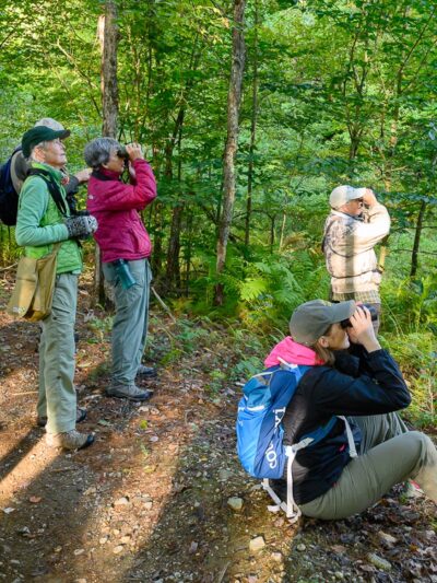 Slate Valley Trails - Poultney, VT