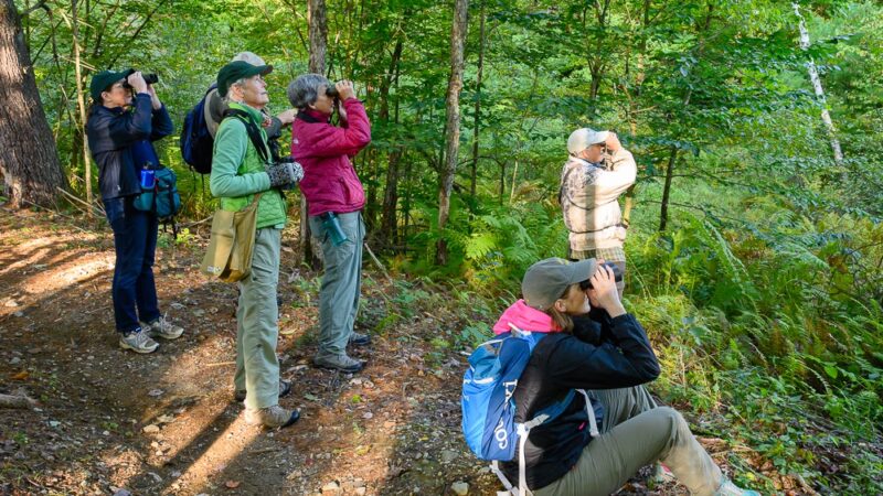 Slate Valley Trails - Poultney, VT
