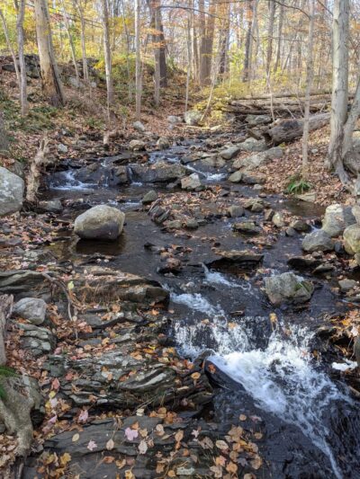 Pound Ridge Town Park - Pound Ridge, NY