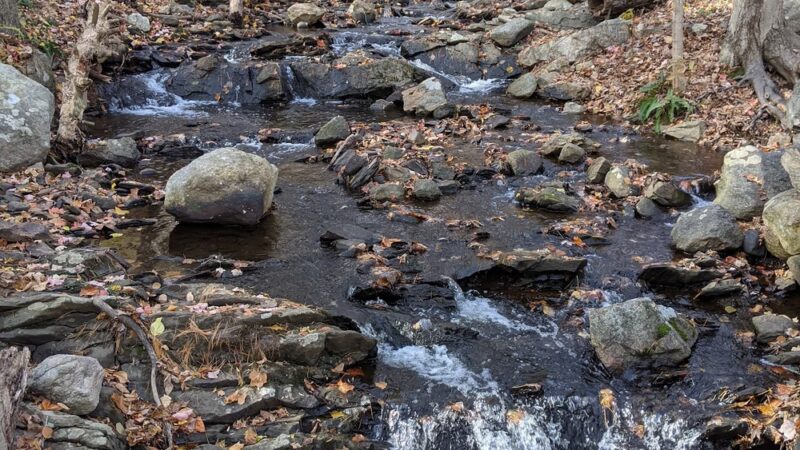 Pound Ridge Town Park - Pound Ridge, NY