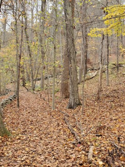 Zofnass Family Preserve - Pound Ridge, NY