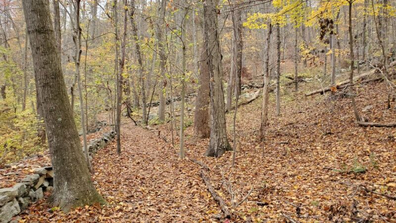 Zofnass Family Preserve - Pound Ridge, NY