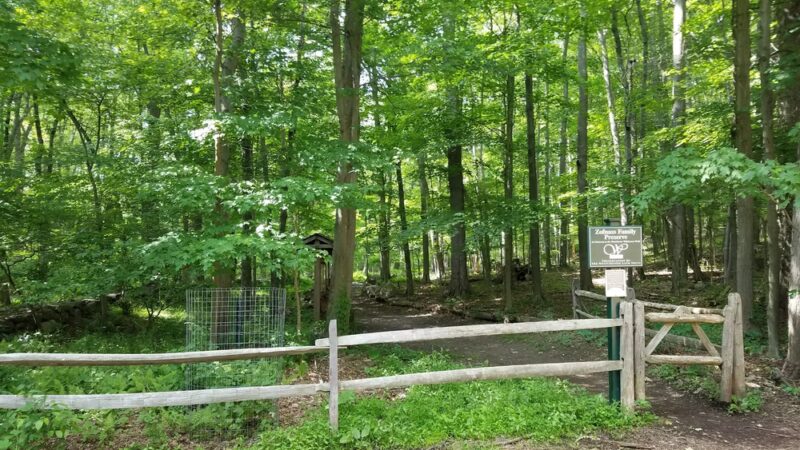 Zofnass Family Preserve - Pound Ridge, NY