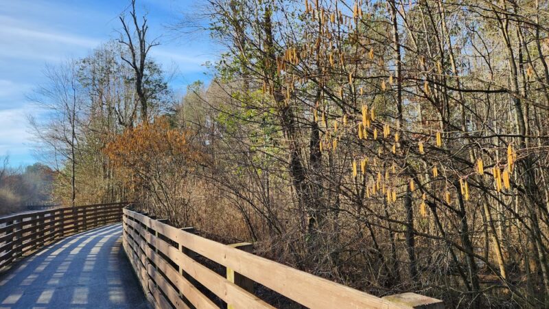 Lucille Creek Trail parking - Powder Springs, GA