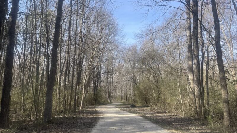 Lucille Creek Trail parking - Powder Springs, GA