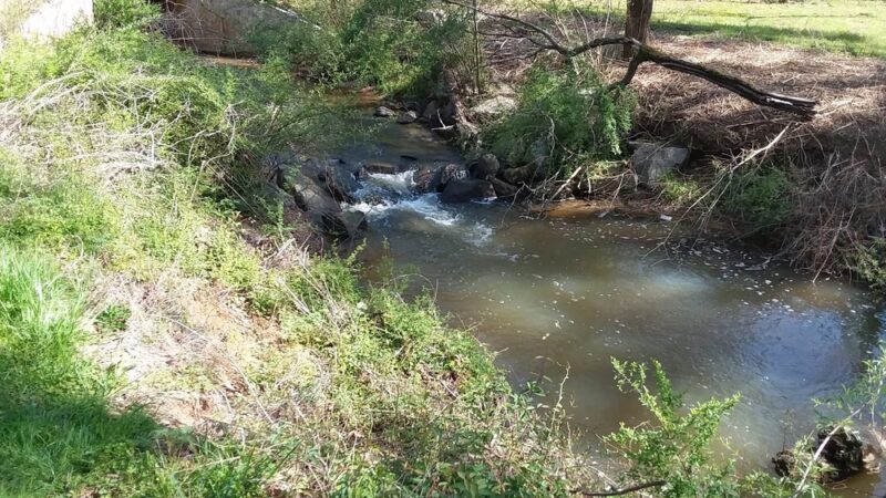 Lucille Creek Trail parking - Powder Springs, GA