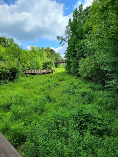 Lucille Creek Trail parking - Powder Springs, GA