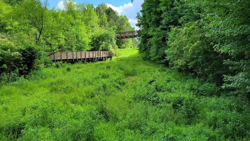 Lucille Creek Trail parking - Powder Springs, GA