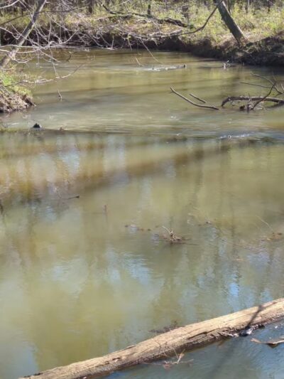 Taylor Farm Park - Powder Springs, GA