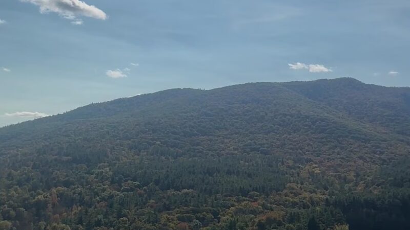 Quarry Hill Natural Area - Pownal, VT