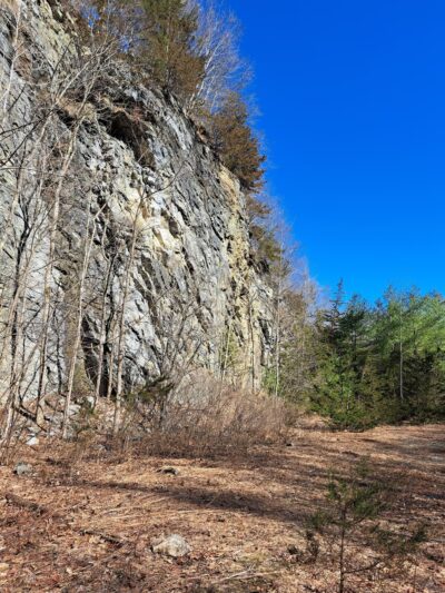 Quarry Hill Natural Area - Pownal, VT