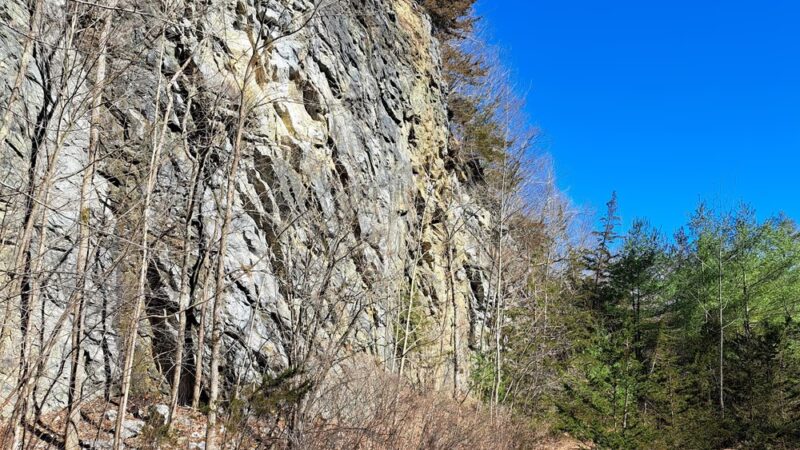 Quarry Hill Natural Area - Pownal, VT