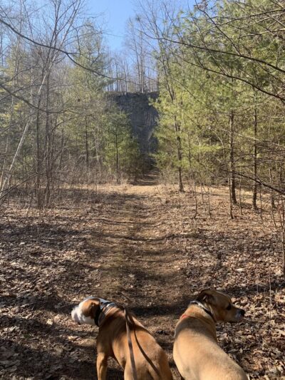 Quarry Hill Natural Area - Pownal, VT