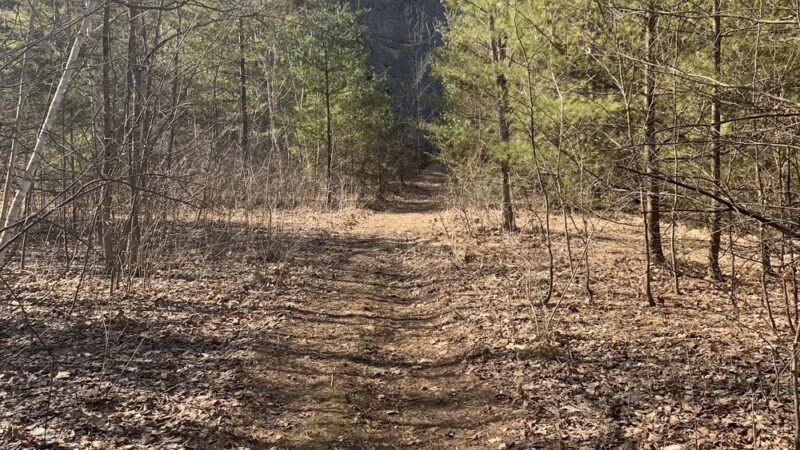 Quarry Hill Natural Area - Pownal, VT