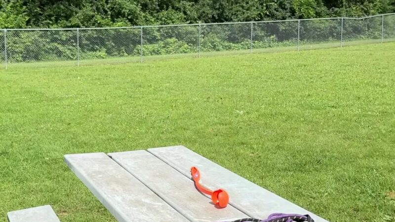 Dekorra Dog Park - Poynette, WI