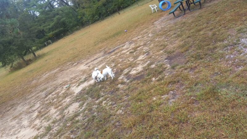 Jamieson Dog Park - Poynette, WI