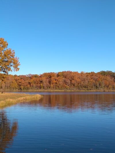 Ripley Lake Recreation Area - Poynor, MO