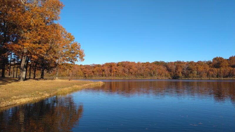 Ripley Lake Recreation Area - Poynor, MO